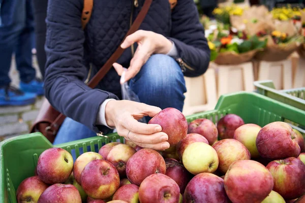 Woman shopping for fresh apples at the farmers\' market in autumn