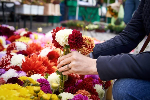 Kvinde Shopping Landmændenes Marked Efteråret Vælge Friske Farverige Blomster - Stock-foto