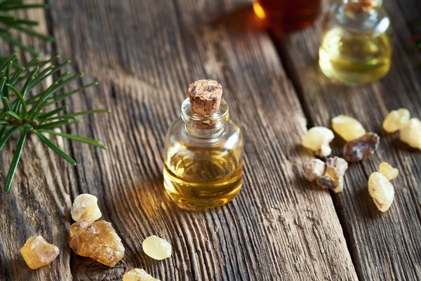 Transparent Bottle Frankincense Essential Oil Boswellia Resin Spruce Tree Branches — Stock Photo, Image