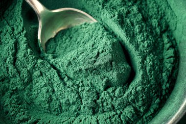 Closeup of green spirulina algae powder on a metal spoon