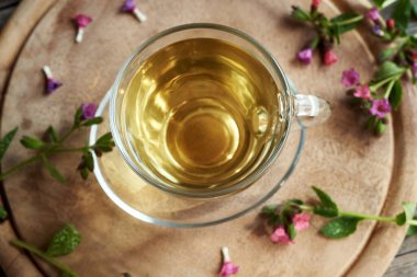 A cup of lungwort or pulmonaria tea with fresh herb