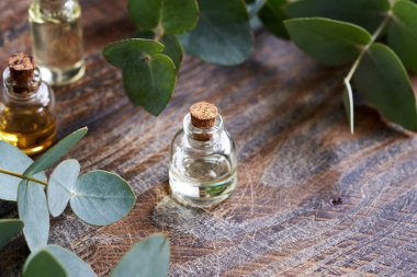 A transparent bottle of aromatherapy essential oil with fresh eucalyptus leaves on a wooden background