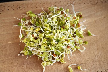 Fresh radish sprouts or microgreens on a wooden cutting board