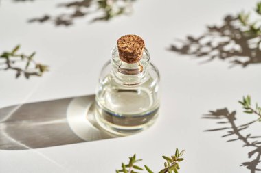 A bottle of aromatherapy essential oil with fresh thyme twigs on white background in sunlight