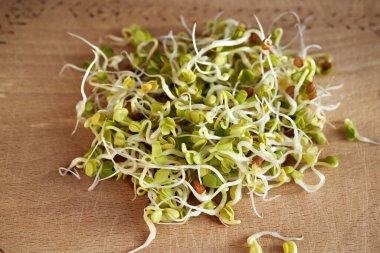 Fresh radish sprouts on a wooden cutting board