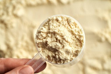Whey protein powder in a plastic measuring spoon, top view. Healthy nutritional supplement.