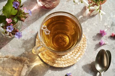 İlkbaharın başında toplanmış taze akciğer otu ya da pulmonia bitkisi içeren bir fincan bitki çayı.