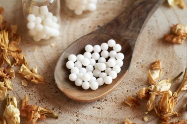 Tahta kaşıkta kurumuş otlarla birlikte homeopatik haplar ya da küreseller. Alternatif tıp.