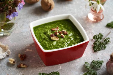 Genç inek maydanozundan yapılmış ev yapımı yeşil pesto sosu. Baharın başında toplanan yenilebilir yabani bitki.