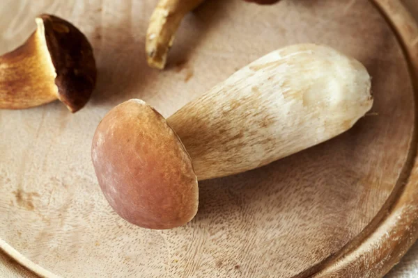 stock image Fresh porcini and other wild edible mushrooms on a wooden table