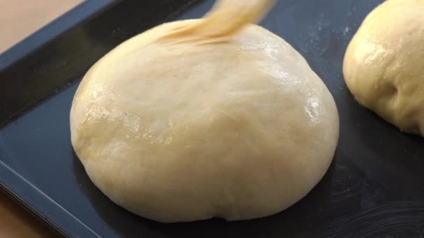 Αλείφοντας Αυγό Πάνω Στο Ωμό Μαζάνετς Παραδοσιακό Τσέχικο Γλυκό Πασχαλινό — Αρχείο Βίντεο