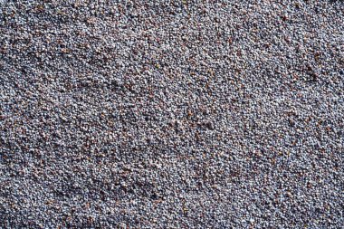 Kopya alanı olan mavi haşhaş tohumlarından yapılmış desenli arkaplan