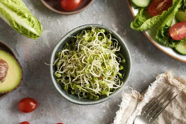 Arka Planda Sebze Salatası Olan Bir Kasede Turp Filizleri — Stok fotoğraf