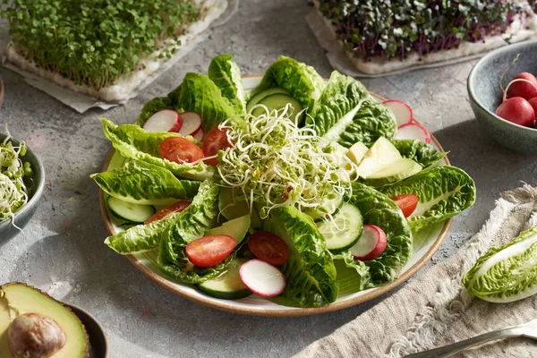 Salada Vegetal Com Brotos Rabanete Com Brócolis Fresco Microverdes Repolho — Fotografia de Stock