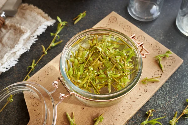Willow Branches Bark Young Leaves Buds Macerating Alcohol Prepare Herbal — Stock Photo, Image