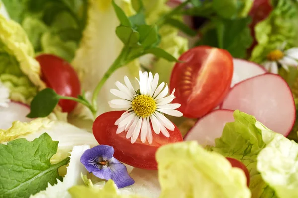Szekrény Egy Vadon Termő Ehető Virágról Zöldségsalátában Tavasszal — Stock Fotó