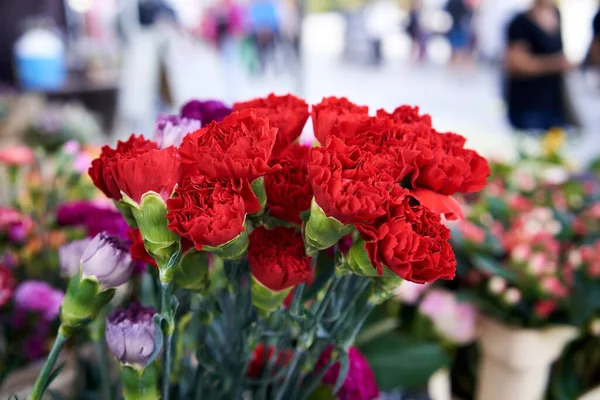 Червоні Квіти Гвоздики Фермерському Ринку Відкритому Повітрі — стокове фото