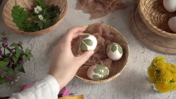 Umieszczenie Koszyku Surowych Pisanek Świeżymi Ziołami Przygotowanie Barwienia Skórkami Cebuli — Wideo stockowe