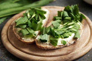Taze sarımsak veya Ramson yaprakları bir dilim ekşi ekmek ve tereyağlı.