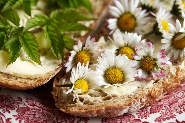 Common daisy and ground elder on slices of sourdough bread in spring