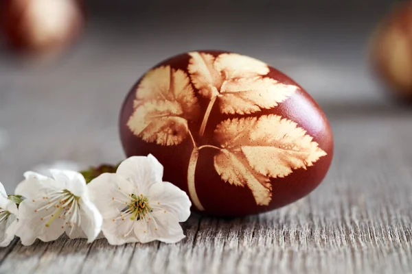 Paskalya Yumurtası Soğan Kabuklarıyla Boyanmış Masada Taze Yapraklar Beyaz Kiraz — Stok fotoğraf