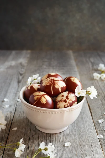 复活节彩蛋 用洋葱皮染色 有叶型 碗中有白樱桃花 有复制空间 — 图库照片