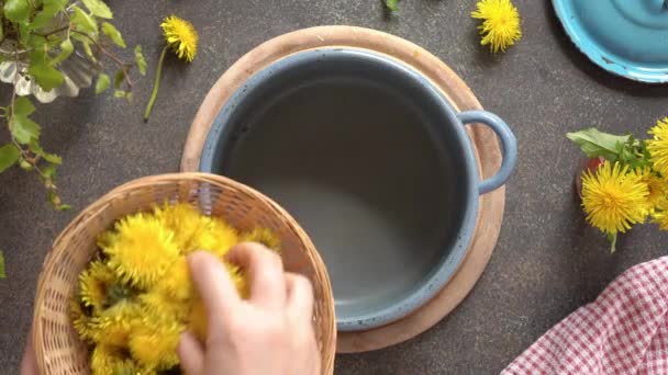 Подготовка Одуванчика Мед Положить Свежие Цветы Кастрюлю — стоковое видео