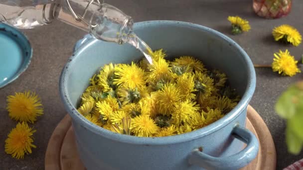 タンポポの蜂蜜の準備 春に集められた新鮮な花に水を加える — ストック動画