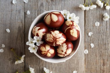 Paskalya yumurtaları soğan kabuklarıyla boyanmış kiraz çiçekleriyle dolu bir kasede, üst manzara