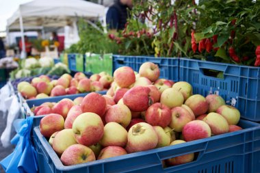 Sonbaharda çiftçi pazarında olgun elmalar