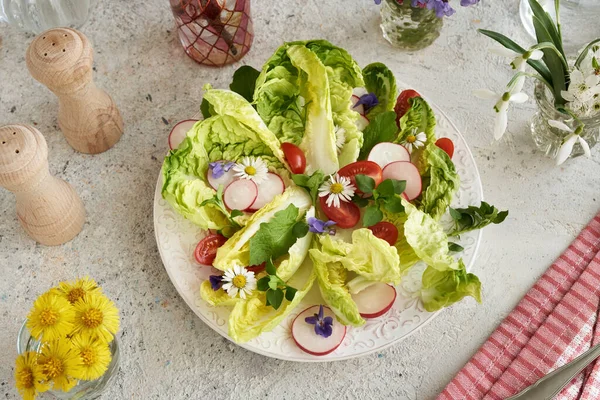 Növényi Saláta Gyepes Százszorszépséggel Csirkefűvel Más Vadon Termő Ehető Növényekkel — Stock Fotó