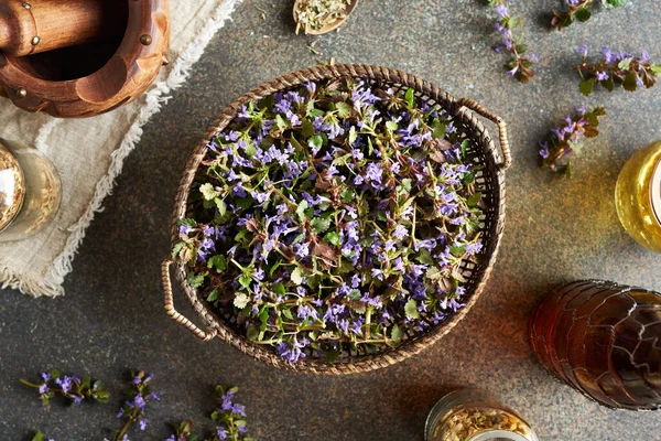 Fresh ground-ivy or Glechoma hederacea flowers in a basket on a table, top view. Spring wild edible plant.