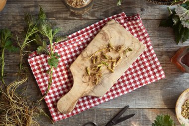 Kesilmiş ve bütün ısırgan otu kökü bir masada, üst tarafta.