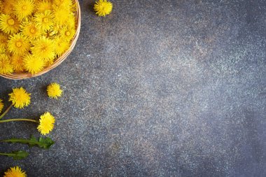 Koyu arkaplanda bir sepet karahindiba çiçeği.