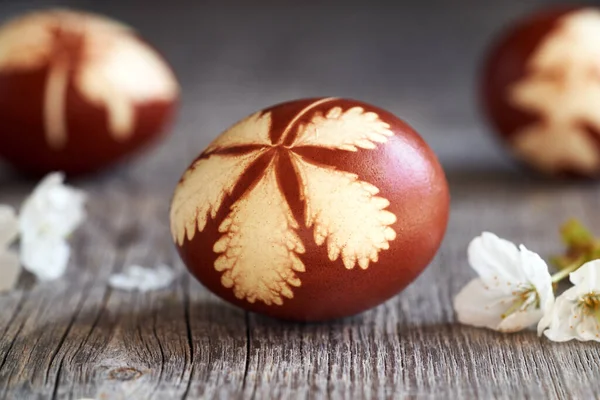 Kahverengi Paskalya Yumurtası Soğan Kabuklarıyla Boyanmış Masanın Üzerinde Bitki Yaprakları — Stok fotoğraf