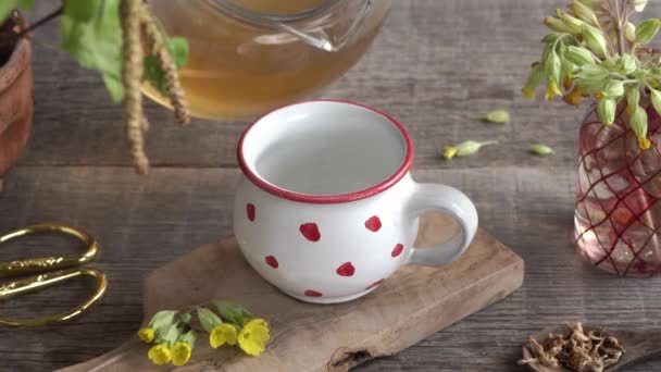 Налить Травяной Чай Керамическую Чашку Свежими Цветами Примулы Переднем Плане — стоковое видео