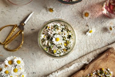 Taze papatya şurubundan ev yapımı bitkisel şurup hazırlama