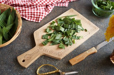 Chopped fresh ibwort plantain leaves - ingredient for homemade herbal syrup against cough clipart