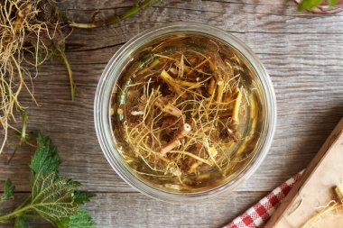 Cam bir kavanozda ısırgan otu kökü ve alkolden bitkisel tentürler yapmak.