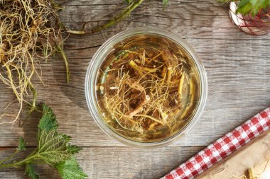 Cam kavanozdaki ısırgan otu kökünden bitkisel tentürlerin hazırlanması.