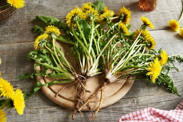 Dandelion flowers, leaves and roots on a wooden table. Herbal medicine.