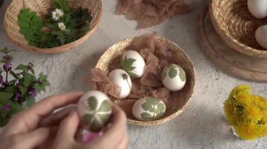 Eller, üzerine taze yapraklar yapıştırılmış Paskalya yumurtalarını sepete koyuyor. Soğan kabuklarıyla boyama hazırlığı.