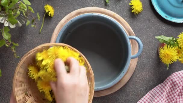 Colocando Flores Dente Leão Fresco Pote Azul Para Preparar Xarope — Vídeo de Stock