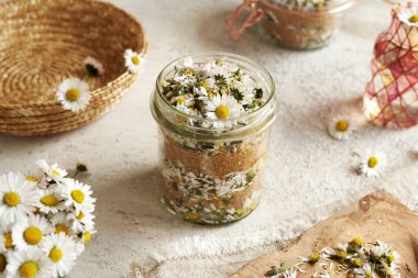 Çimen papatyası ve baston şekerden öksürük şurubu praparasyonu