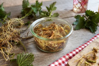 Cam kavanozda alkolün içinde ısırgan otu kökü ezmesi - bitkisel tentürlerin hazırlanması