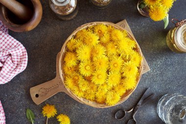 Sarı karahindiba çiçekleri baharda hasır bir sepette toplandı.