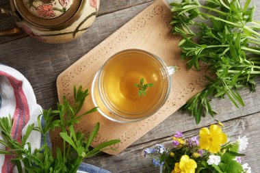 Bir fincan taze satırlı bitki çayı, en iyi manzara.