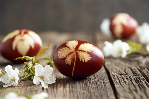 Easter eggs dyed with onion skins with a pattern of fresh leaves on a table, with white cherry blossoms