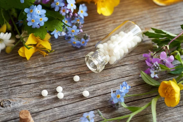 Flaske Homøopatiske Piller Eller Kugler Med Farverige Friske Blomster Urter - Stock-foto