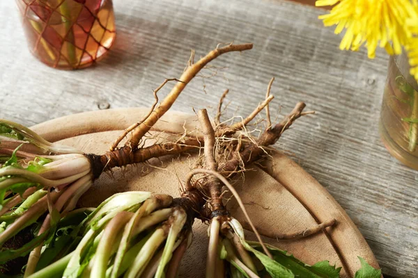 Fresh dandelion root on a table